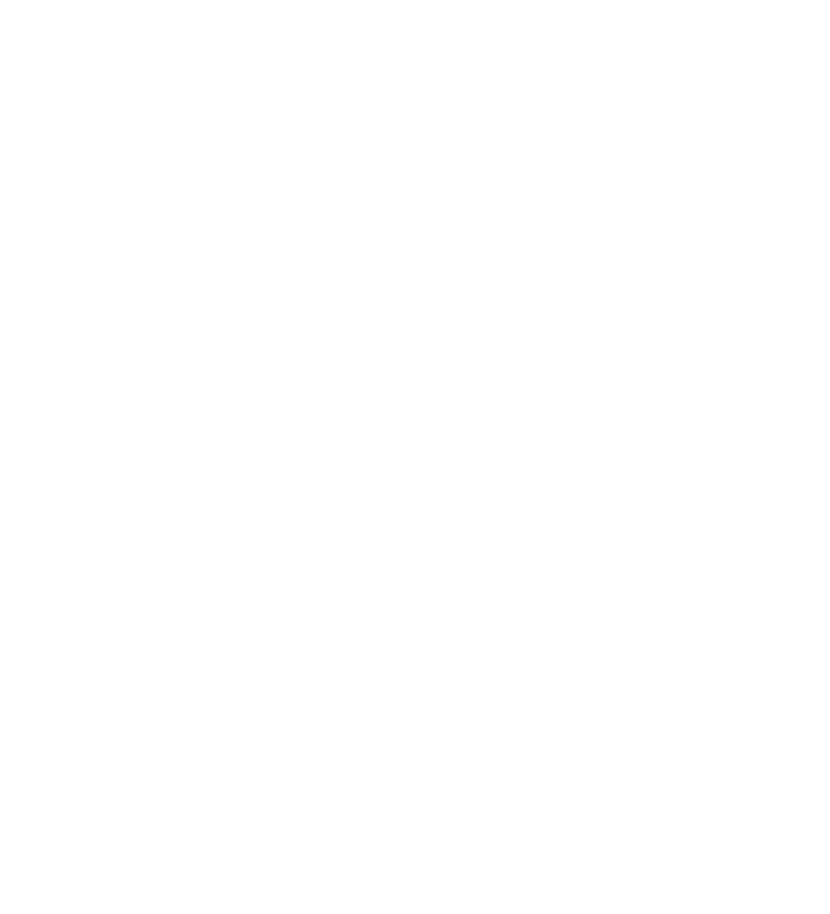 Welcome Party icon